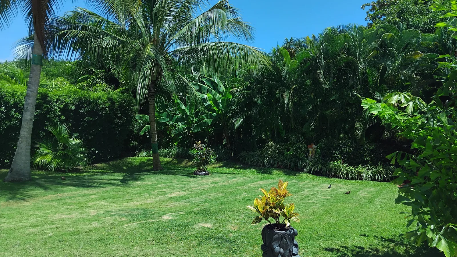 Hakuna Matata | Tropical Eco Haven, 3-bedroom villa for sale in St James, Barbados - photograph 15