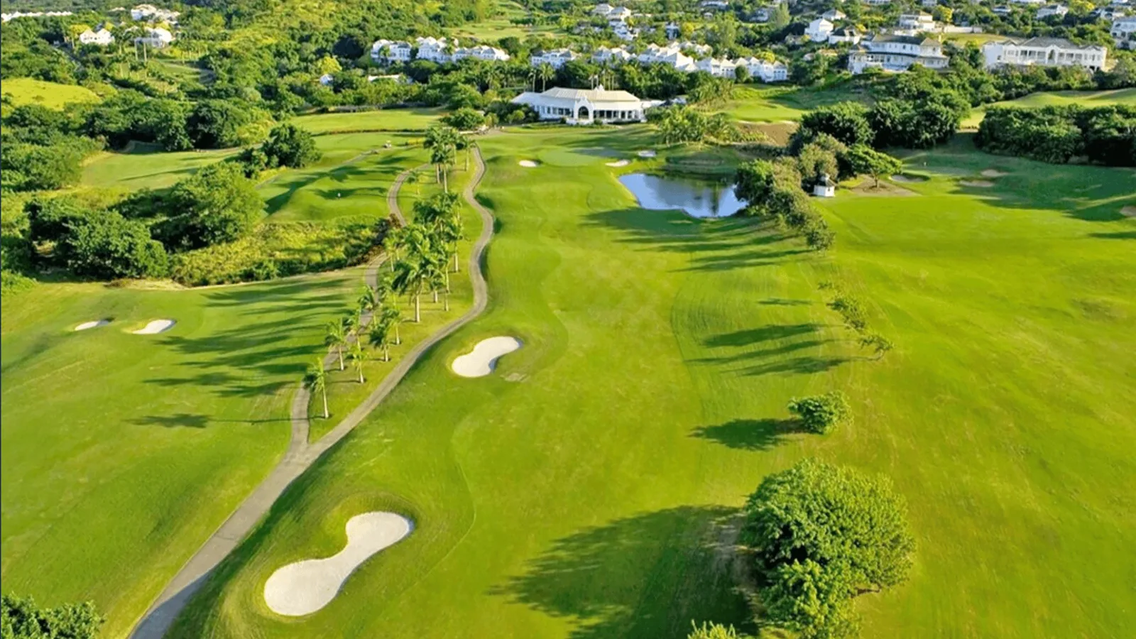 Seas The Day, 3-bedroom villa for rent in St James, Barbados - photograph 19