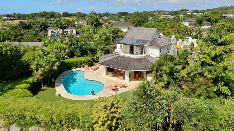 Palm Grove 9, photograph 3