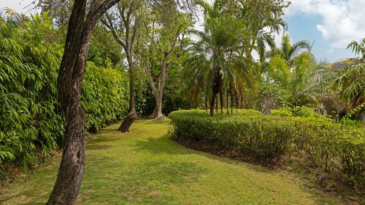 Sugar Hill Resort | The Arrows - Caribbean Luxury Villa, 4-bedroom villa for sale in St James, Barbados - photograph 15