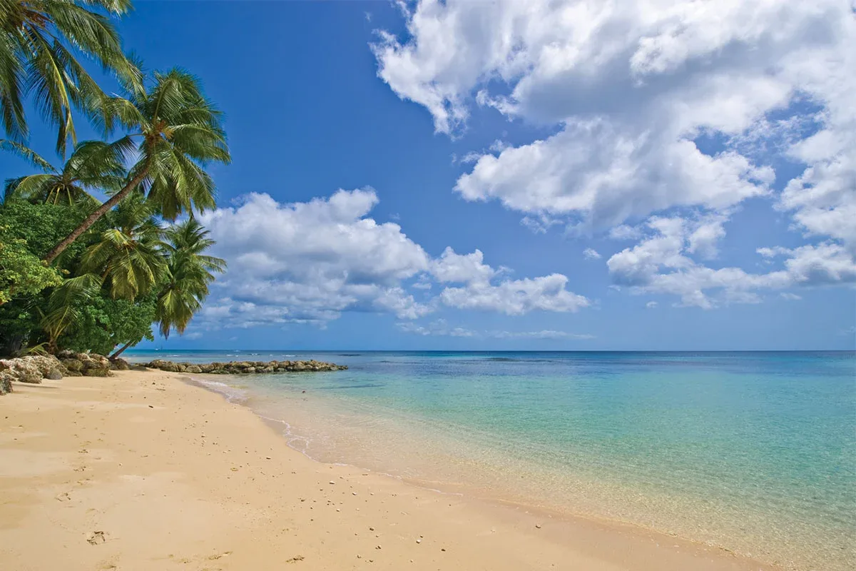 Saint Peter’s Bay 211 - Speightstown, 3-bedroom apartment for rent in St Peter, Barbados - photograph 17