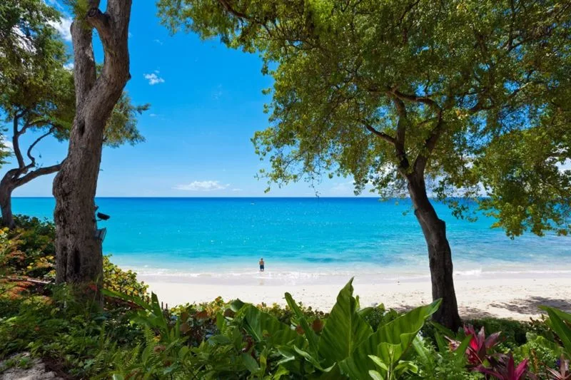 Merlin Bay - Secret Garden, 3-bedroom villa for rent in St James, Barbados - photograph 9