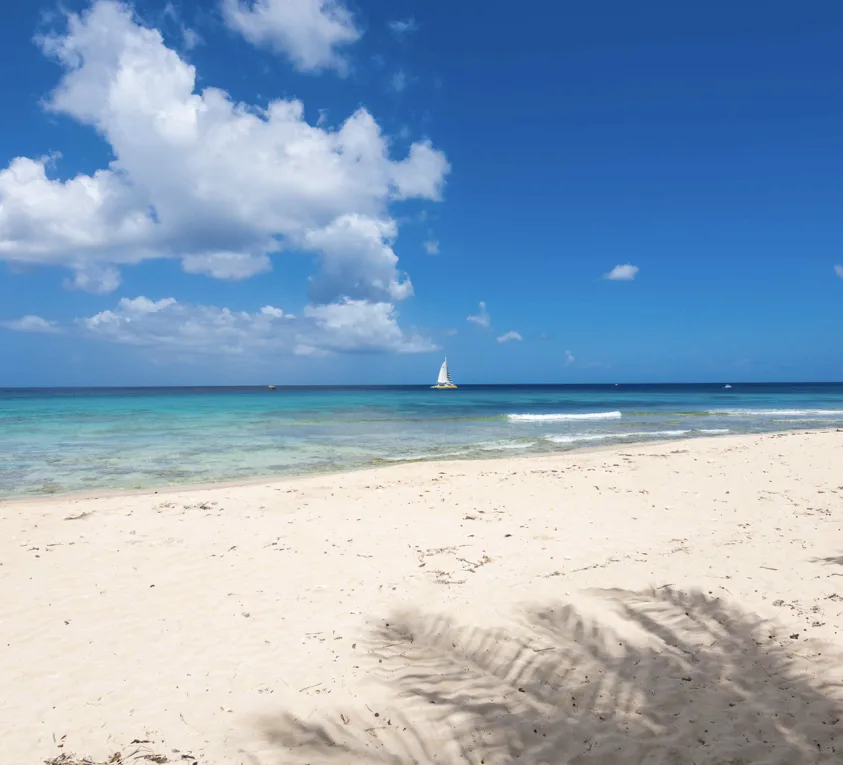 Villa Radwood Beach House No. 1, 3-bedroom villa for rent in St James, Barbados - photograph 5