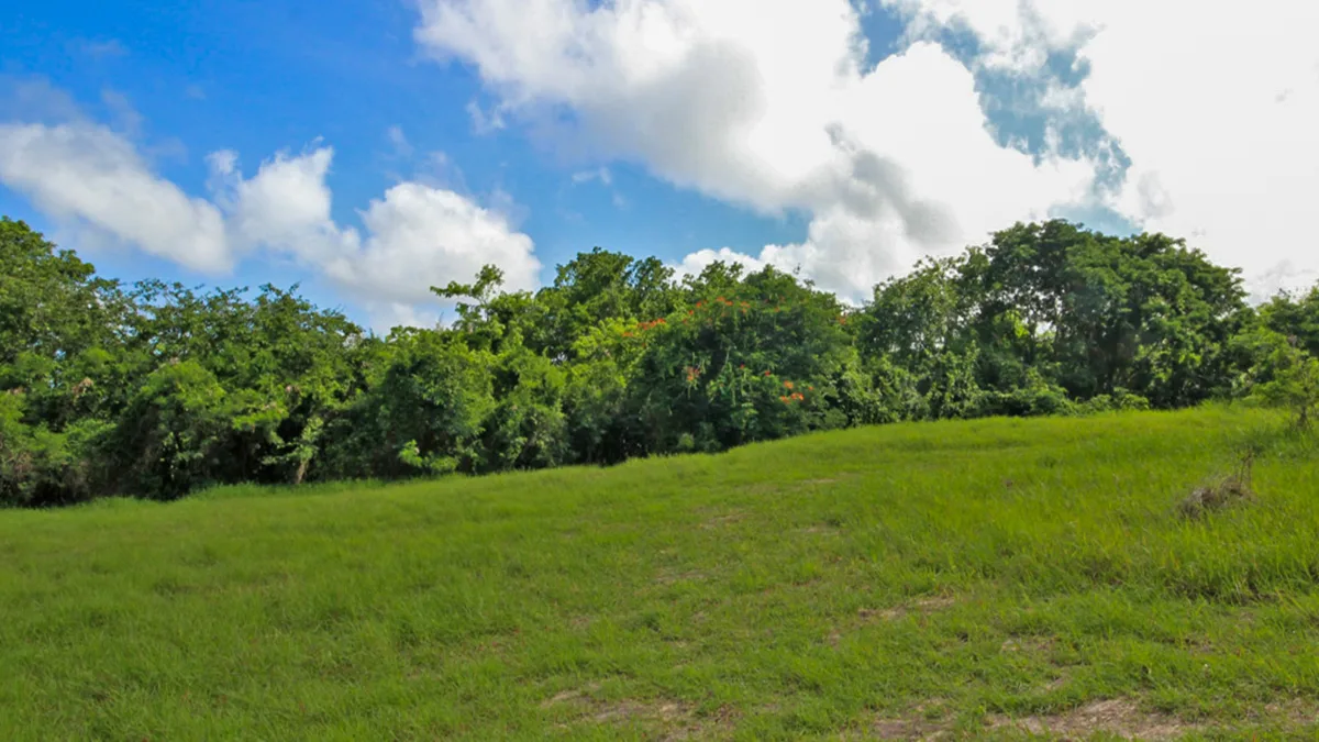 Holders Development Land | 8.5 Acres West Coast Investment, land for sale in St James, Barbados
