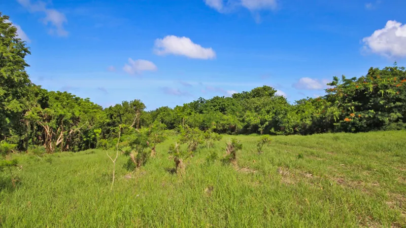 Holders Development Land, photograph 2