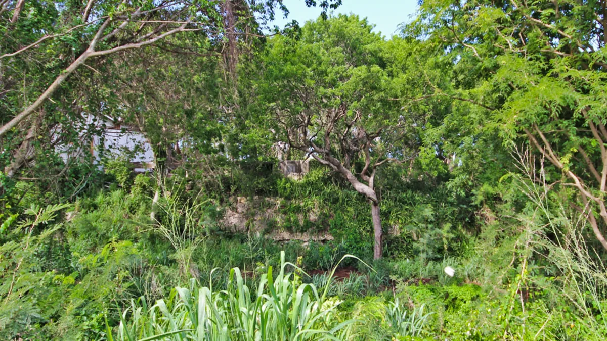 Holders Development Land | 8.5 Acres West Coast Investment, land for sale in St James, Barbados - photograph 4