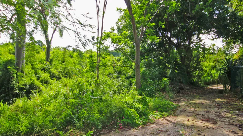 Holders Development Land, photograph 7