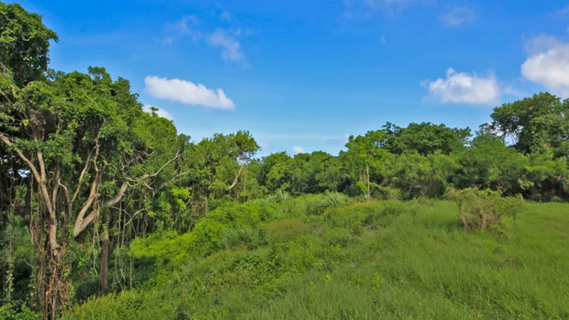 Holders Development Land, photograph 8