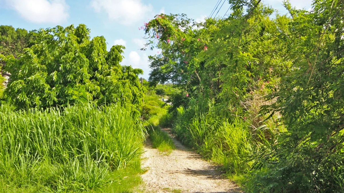 Holders Development Land | 8.5 Acres West Coast Investment, land for sale in St James, Barbados - photograph 12