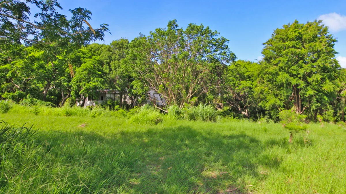 Holders Development Land | 8.5 Acres West Coast Investment, land for sale in St James, Barbados - photograph 13