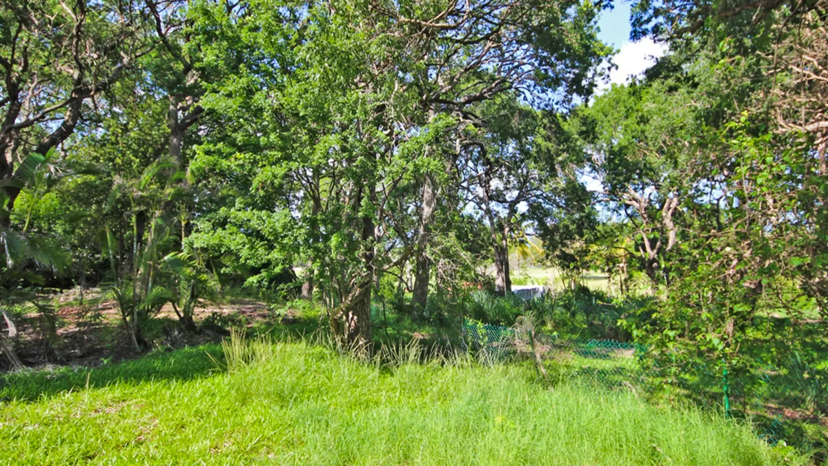 Holders Development Land | 8.5 Acres West Coast Investment, land for sale in St James, Barbados - photograph 14