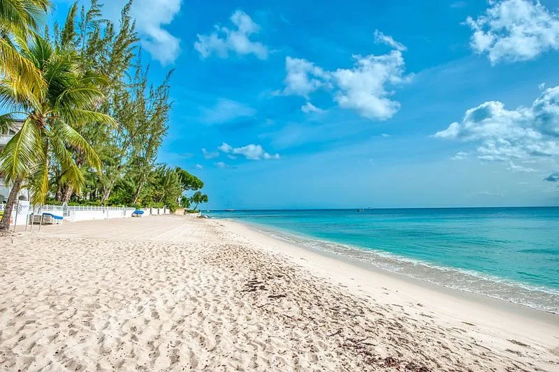 Smugglers Cove 6 - Paynes Bay, 5-bedroom apartment for rent in St James, Barbados - photograph 25