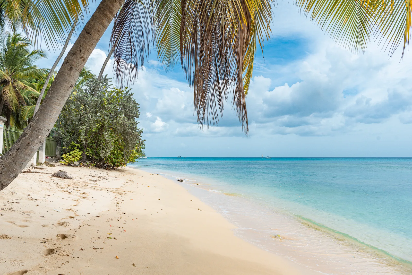 James Bay Beachfront Apartment No.5, 2-bedroom apartment for rent in St James, Barbados - photograph 16