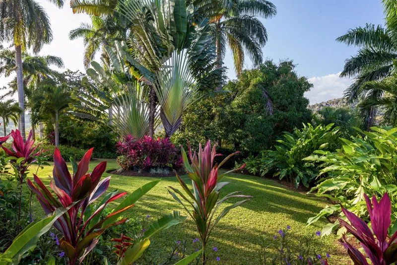 Little Hill, 4-bedroom villa for sale in Hanover, Jamaica - photograph 14