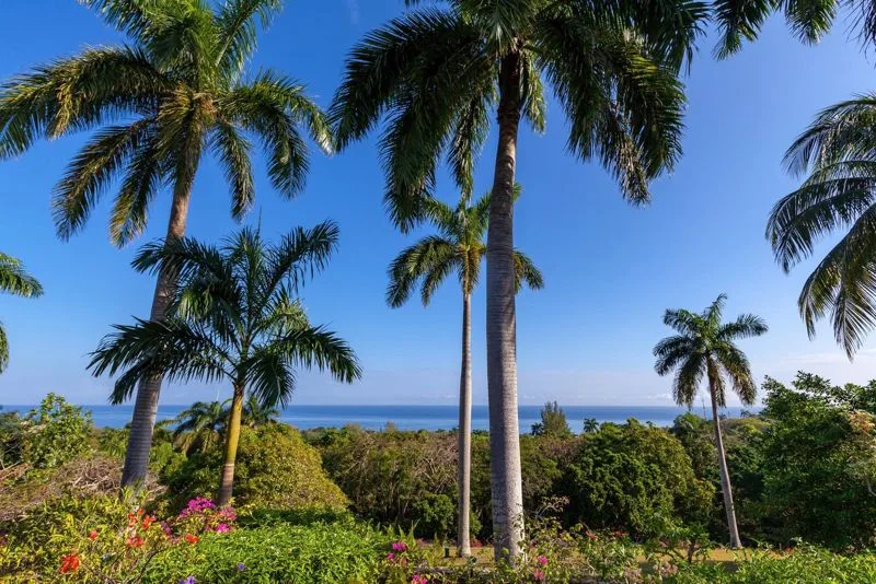 Little Hill, 4-bedroom villa for sale in Hanover, Jamaica - photograph 25
