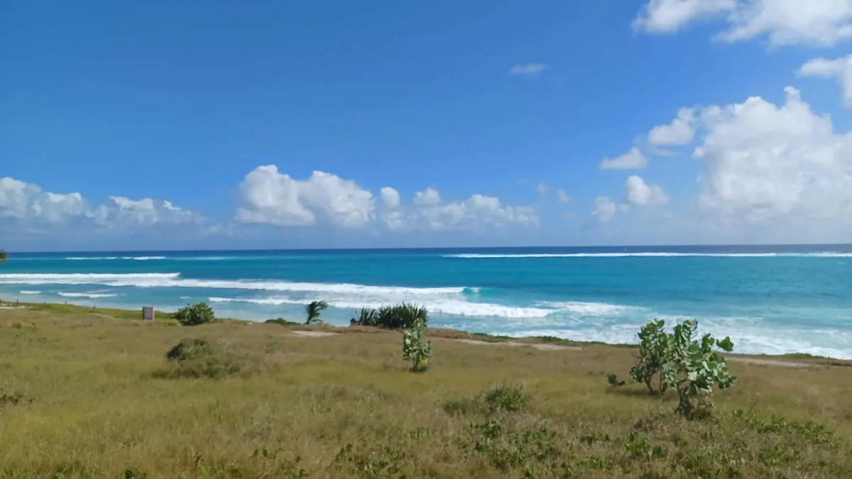 Landsdown | Barbados' South Beachfront Lot, land for sale in Christ Church, Barbados - photograph 2