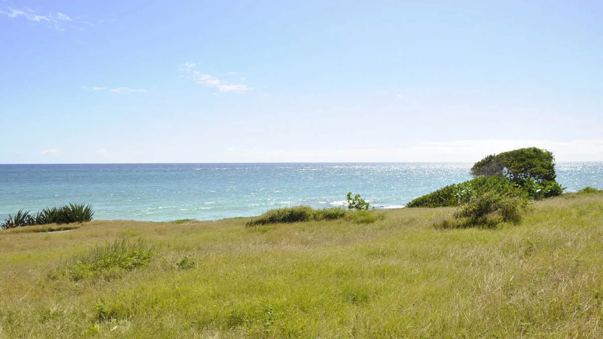 Landsdown | Barbados' South Beachfront Lot, land for sale in Christ Church, Barbados - photograph 8