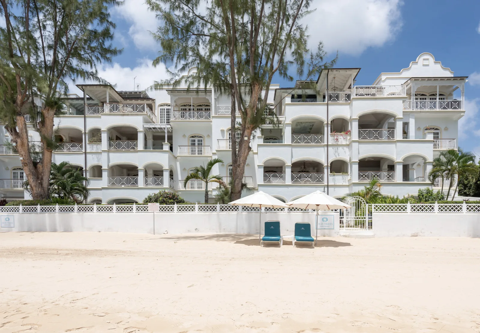 One Old Trees - Paynes Bay Beach, 3-bedroom apartment for rent in St James, Barbados - photograph 5