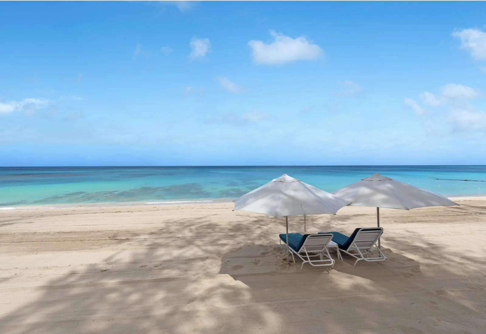 One Old Trees - Paynes Bay Beach, 3-bedroom apartment for rent in St James, Barbados - photograph 11