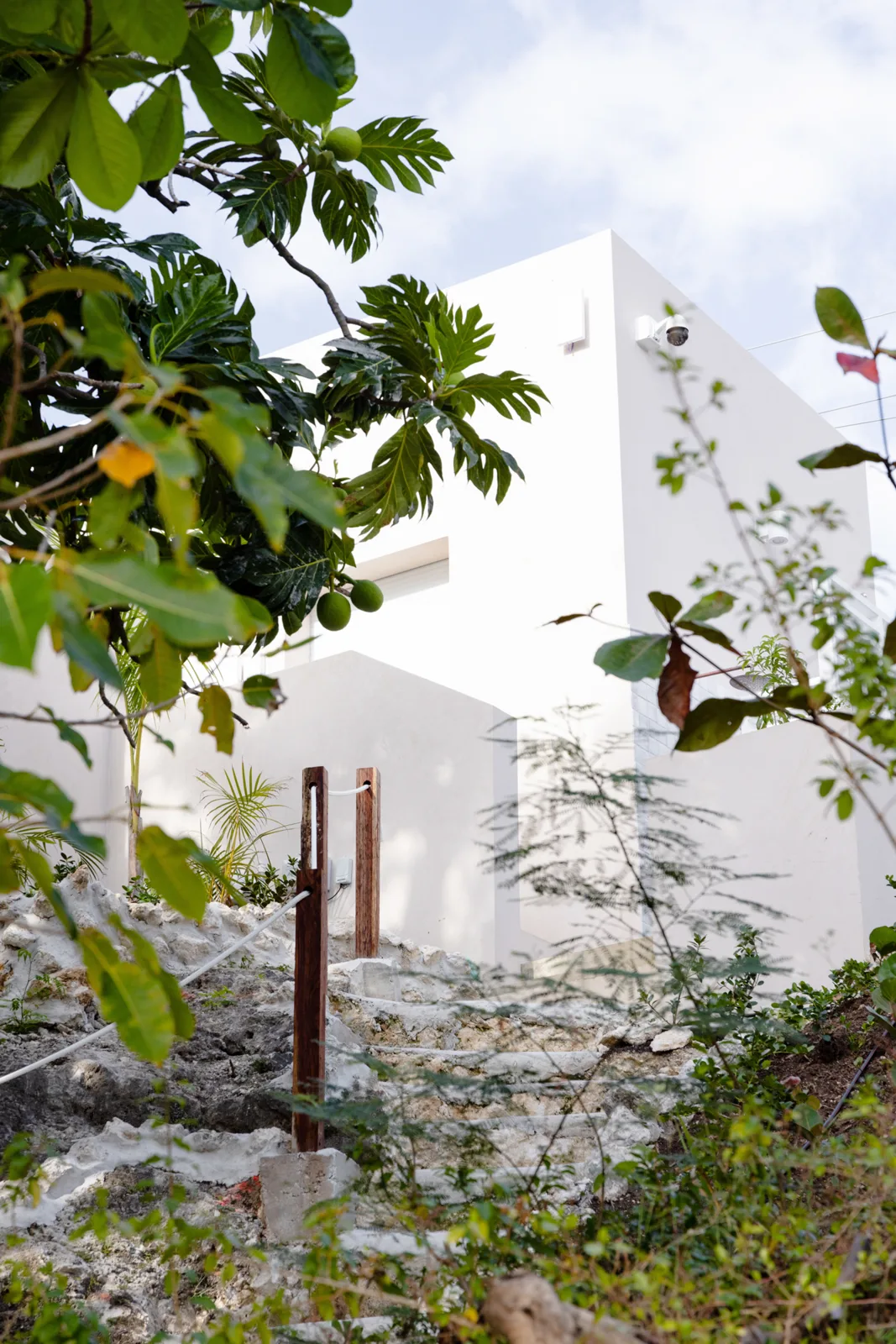 Barefoot Leaf, 3-bedroom villa for rent in St Peter, Barbados - photograph 29