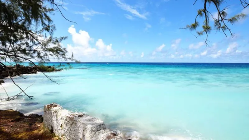 Harcliff | Prime Beachfront Lot in St Lawrence Gap