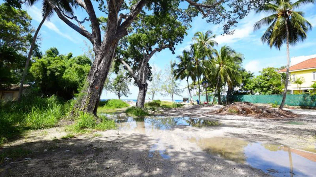 Harcliff | Prime Beachfront Lot in St Lawrence Gap, land for sale in Christ Church, Barbados - photograph 10