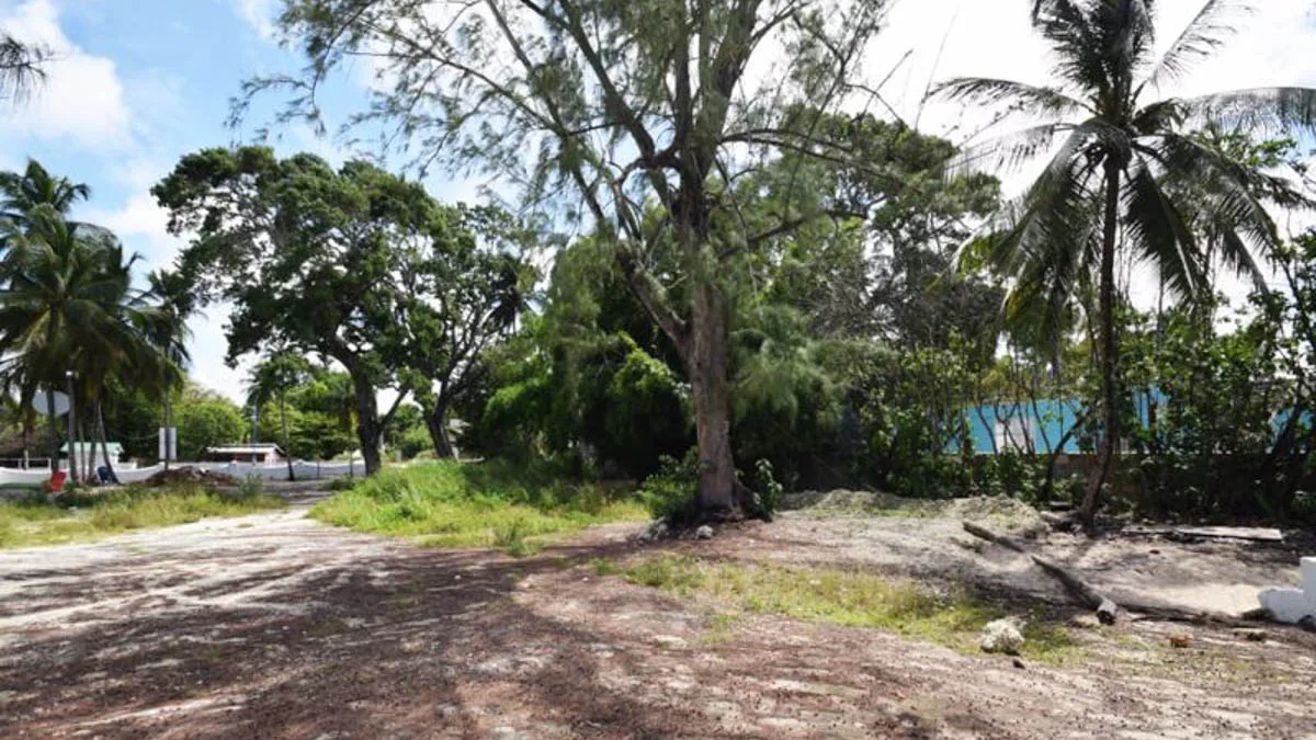 Harcliff | Prime Beachfront Lot in St Lawrence Gap, land for sale in Christ Church, Barbados - photograph 11