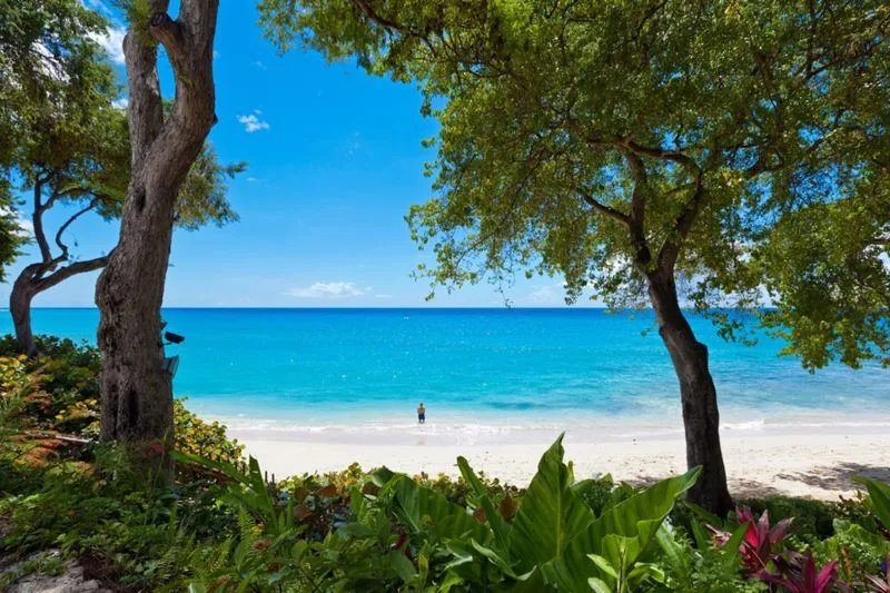 Merlin Bay - Nutmeg, 3-bedroom villa for rent in St James, Barbados - photograph 8